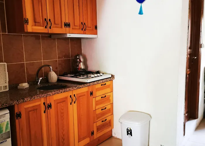 Sahmeran 게스트하우스 Ayvalı